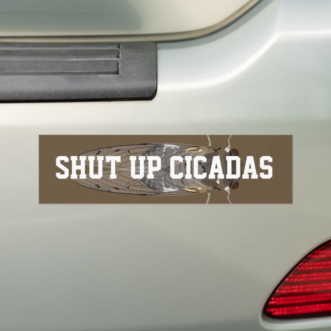 Shut Up Cicadas Bumper Sticker (On Car)