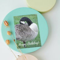 Shy Canada Goose Wildlife Birthday