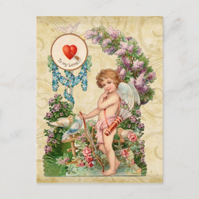 Shy Cupid Valentine Postcard (Front)