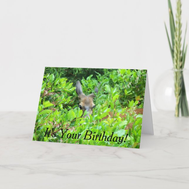 Shy Deer Wildlife Birthday Card (Front)