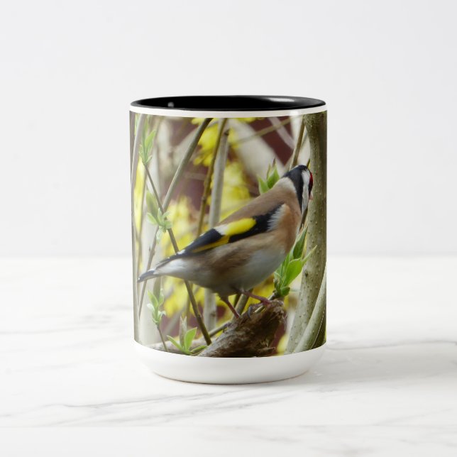 Shy Goldfinch Two-Tone Coffee Mug (Center)