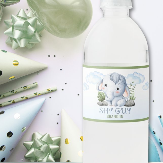 Shy Guy Water Bottle Labels (Creator Uploaded)