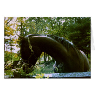 Shy Horse Photography Art