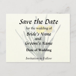 Shy Little Daffodil Announcement Postcard