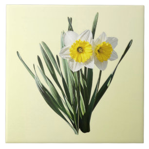 Shy Little Daffodil Ceramic Tile