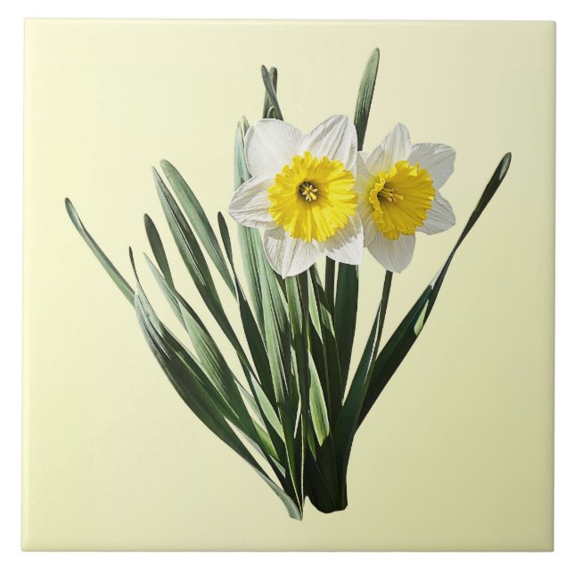 Shy Little Daffodil Ceramic Tile (Front)
