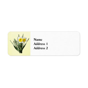 Shy Little Daffodil Return Address Label