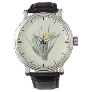 Shy Little Daffodil Watch