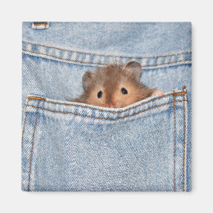 shy peekaboo magnet