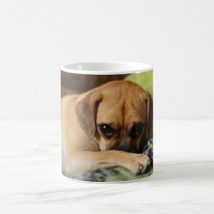 Shy puggle mug