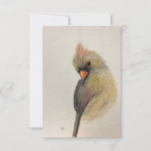 Shy Red Bird Note card