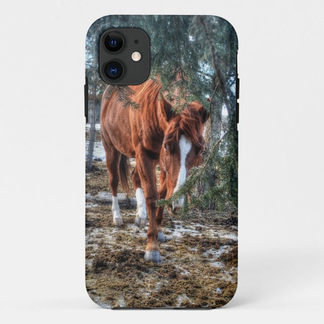 Shy Sorrel Mare and Branches Horse-lover Gift Case-Mate iPhone Case (Back)