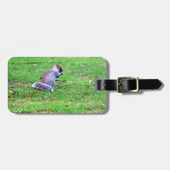 Shy Squirrel Luggage Tag (Front Horizontal)