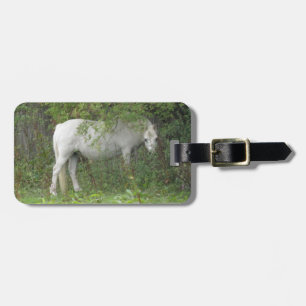 Shy White Horse Custom Luggage Tag