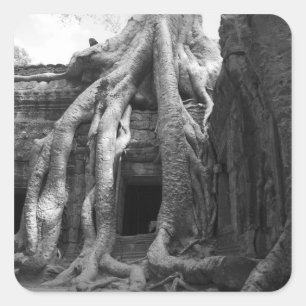 Siam Reap, Cambodia. Just outside of Siam Reap, Square Sticker