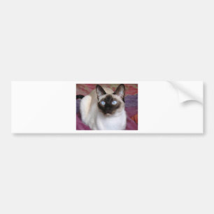 SIAMESE BEAUTY BUMPER STICKER