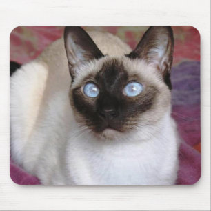 SIAMESE BEAUTY MOUSE PAD