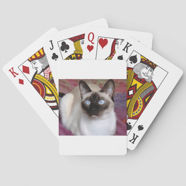 SIAMESE BEAUTY PLAYING CARDS (Back)