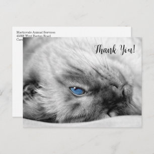 Siamese Blue Eyed Cat Thank You Postcard