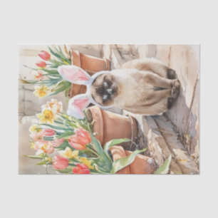Siamese Bunny Cute Easter Cat with Tulips  Tissue Paper