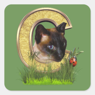 Siamese-Capital-Monogram letter C Square Sticker