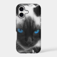 Siamese Cat