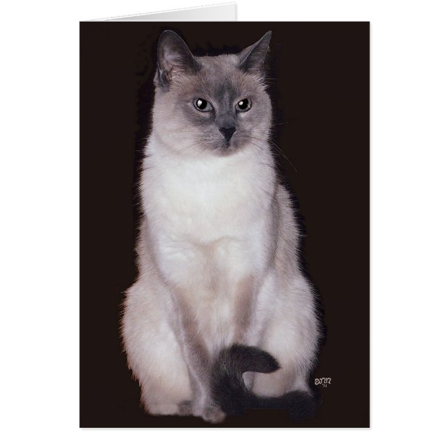 Siamese Cat (Front)