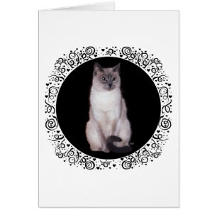 Siamese Cat