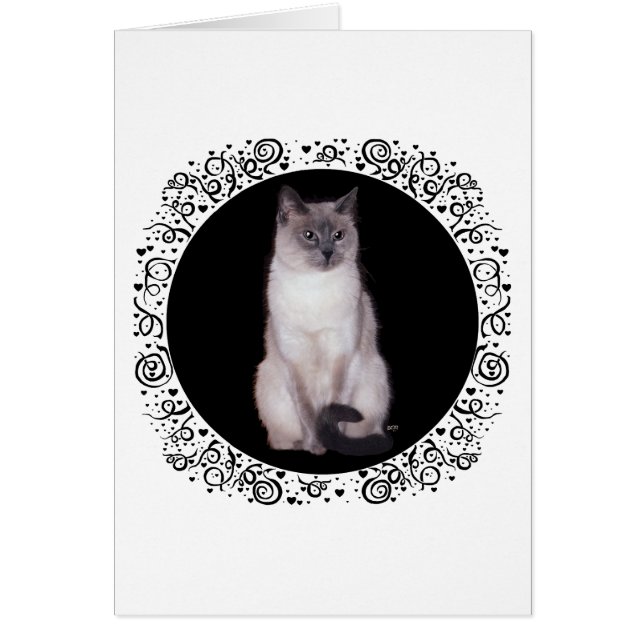 Siamese Cat (Front)