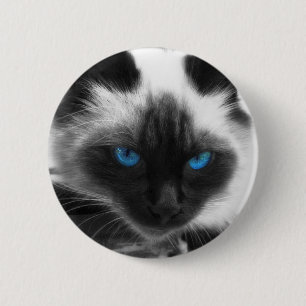 Siamese Cat 6 Cm Round Badge