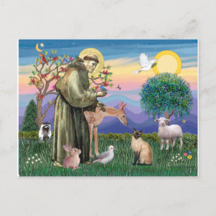 Siamese Cat and St Francis Postcard