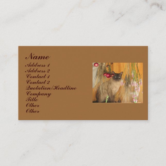 Siamese Cat Animal Photography Business Card #3 (Front)