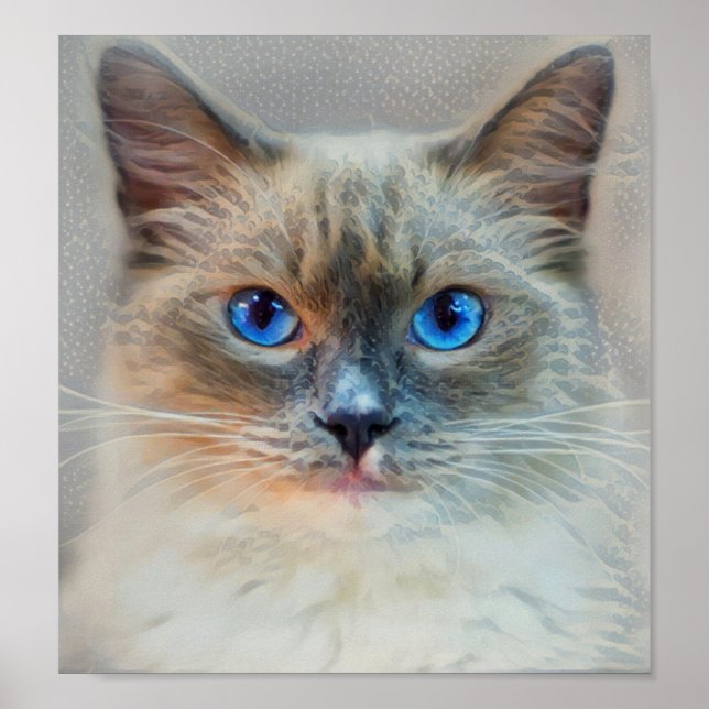 Siamese Cat-Blue Eyes Poster (Front)