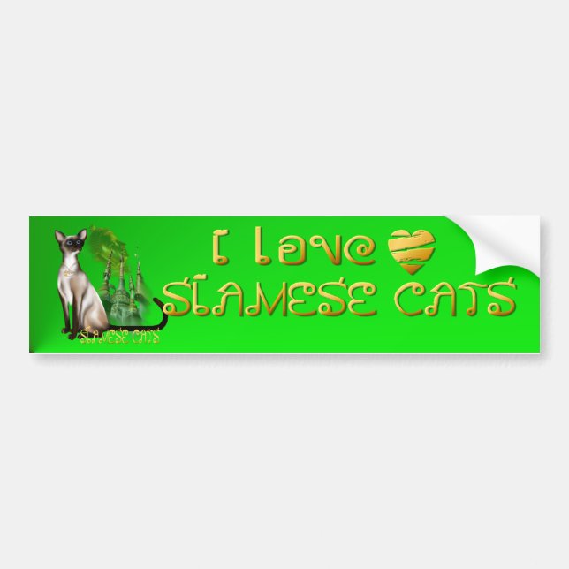 Siamese Cat  Bumper Sticker (Front)