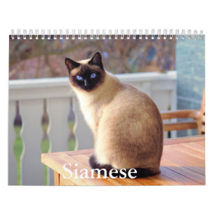 Siamese Cat Calendar