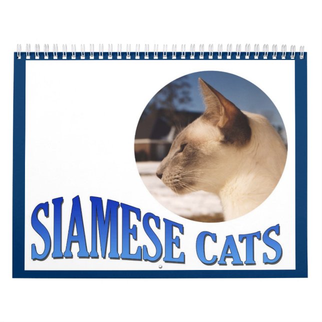Siamese Cat Calendar 2024 (Cover)