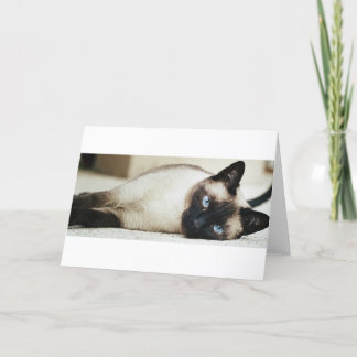 Siamese Cat Card