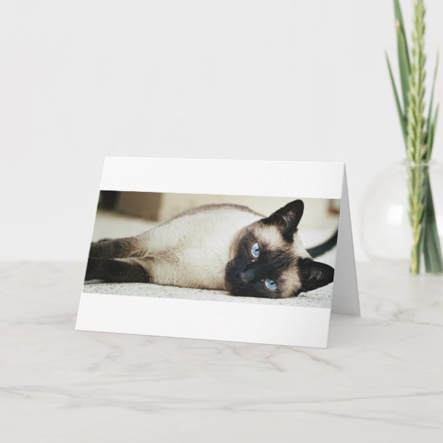 Siamese Cat Card (Front)