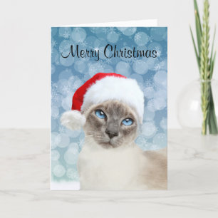 Siamese cat Christmas Holiday Card