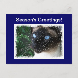 Siamese Cat Christmas Winter Holiday Postcard