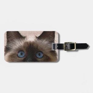 siamese cat crackle old aged cracked Hi Hello Luggage Tag