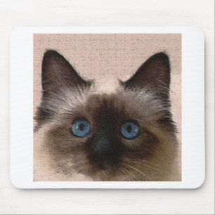 siamese cat crackle old aged cracked Hi Hello Mouse Pad