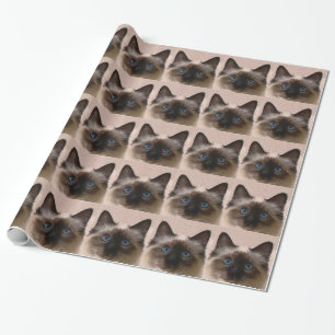 siamese cat crackle old aged cracked Hi Hello Wrapping Paper