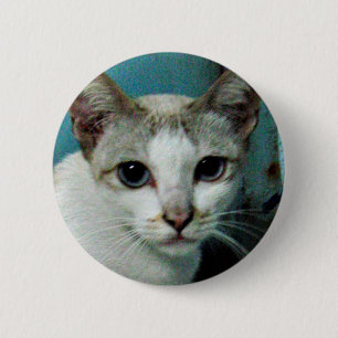 Siamese Cat Friend 6 Cm Round Badge