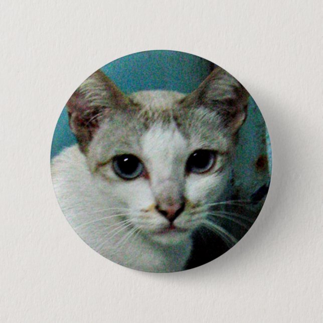 Siamese Cat Friend 6 Cm Round Badge (Front)