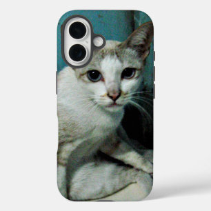 Siamese Cat Friend iPhone 16 Case