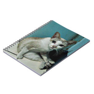 Siamese Cat Friend Notebook