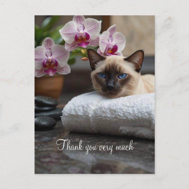Siamese Cat in Spa Thank you  Postcard (Front)