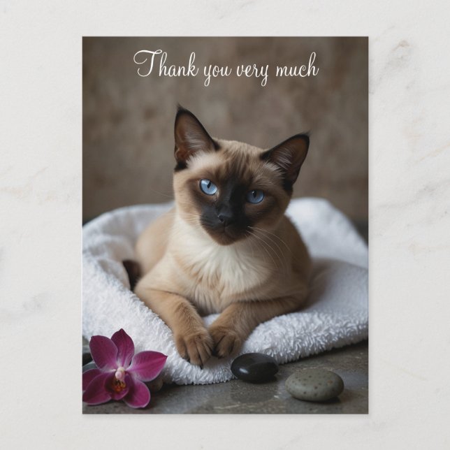 Siamese Cat in Spa Thank you  Postcard (Front)