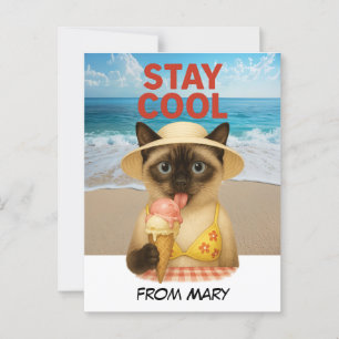 Siamese Cat is licking ice cream stay cool  Postcard